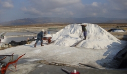 Sắm nhà lầu, xe hơi nhờ “vàng trắng”