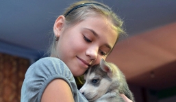 Video: Cận cảnh chó Husky - món quà tổng thống Putin tặng bé gái 12 tuổi