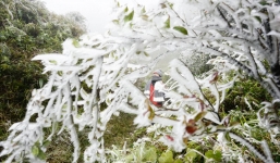 Cận cảnh băng giá phủ trắng vùng cao