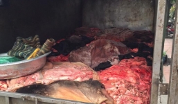 Phát hiện một tấn da, nội tạng trâu bò thối tuồn vào Hà Nội