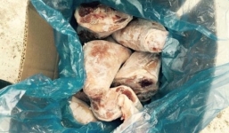 Hà Nội: 5 tấn chân giò đông lạnh chưa kiểm dịch bị tạm giữ