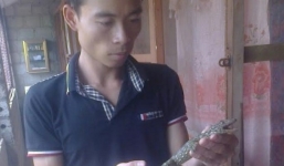 Thanh niên trẻ kiếm trăm triệu mỗi năm nhờ tắc kè