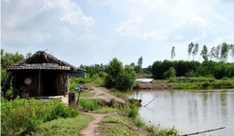 Phát hiện thi thể 2 vợ chồng trong chòi lá ở đầm tôm