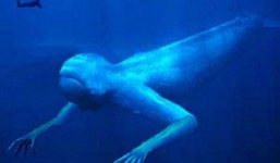 Bí ẩn 'quái vật' cao 30 mét hình dạng giống người ở Nam Cực