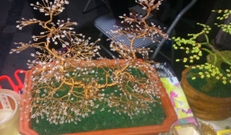 Cây cảnh handmade hơn nửa triệu “hút” khách dịp Tết