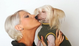 Mua viên pha lê và ngai nạm ngọc trai để tặng chó cưng