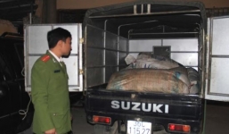 Thanh Hóa: Phát hiện 1 tấn bì lợn thối không nguồn gốc xuất xứ