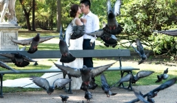 Ảnh cưới đầy lãng mạn của Á hậu Diễm Trang tại châu Âu