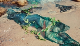 Xác định người tung tin bắt được 'nàng tiên cá' ở Quảng Nam