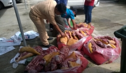 Đà Nẵng: Phát hiện gần 500kg thịt thối cung cấp cho nhà hàng
