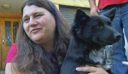 Chú chó bảo vệ cô bé 2 tuổi đi lạc suốt đêm