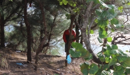 Người đàn ông chết trong tư thế treo cổ trên cây phi lao