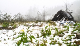 Miền Bắc bước vào đợt rét đậm, nhiệt độ thấp nhất dưới 13 độ C