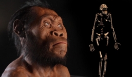 Top 5 phát hiện khoa học gây bất ngờ nhất trong năm 2015