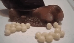 Video hiếm gặp: Cận cảnh ốc sên đẻ trứng