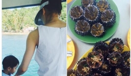 Facebook sao Việt: Hà Hồ cùng Subeo đón Giáng sinh trên đảo hoang