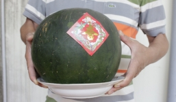 Dưa hấu chưng gần 1 năm không hỏng, chủ nhà định để thờ tiếp