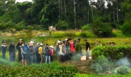 Phát hiện xác chết đang phân hủy trên ruộng rau muống