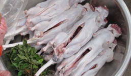 Săn chuột cống làm đặc sản, thu triệu đồng mỗi đêm