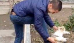 Dân mạng bức xúc clip người đàn ông dùng mèo để lau giày