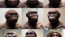 12 bức hình cho thấy thế giới khoa học tuyệt diệu đến mức nào