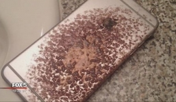 Tá hỏa vì iPhone 6 bốc cháy trên giường