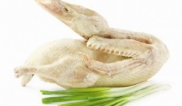 Cách chọn vịt ngon và làm sạch lông không bị hôi