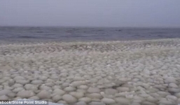 Hàng nghìn quả bóng tuyết bí ẩn xuất hiện trên hồ nước ở Mỹ gây xôn xao