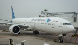 Máy bay không thể cất cánh chỉ vì một con ong