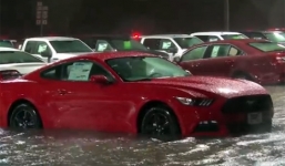 Hơn 100 xe ngập nước ở đại lý ôtô