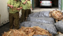 Bắt giữ 1,3 tấn bì heo thối trên đường vào TP HCM tiêu thụ