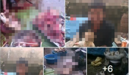 Triệu tập, khám nhà thanh niên khoe ảnh giết khỉ lên Facebook