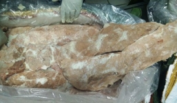 Phát hiện hơn 1 tấn nầm heo thối được 'phù phép' thành nầm dê