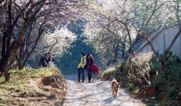 Dự báo thời tiết ngày 11/1: Miền Bắc trời bắt đầu trở lạnh