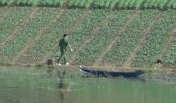 Bình Phước: Nam thanh niên chết trong tư thế bị trói toàn thân ở hồ