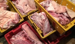 Bình Định: Bắt quả tang xe tải chở 400kg thịt heo hôi thối