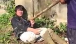 Thực hư clip ăn trộm bị người dân dùng gậy đánh đập