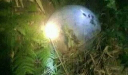 Đi tìm trâu, phát hiện vật thể lạ ở Tuyên Quang