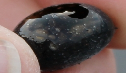 'Quả trứng lạ' bắn ra từ núi lửa Hawaii phun trào