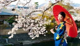 Du lịch tour Nhật Bản Mùa Xuân 5 ngày 4 đêm