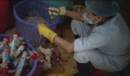 Vụ tuồn rác thải y tế ra ngoài: kỷ luật trưởng khoa, buộc thôi việc hai cán bộ