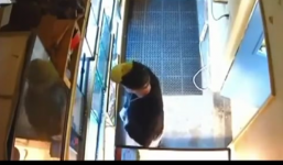 Tên trộm liều lĩnh ăn trộm trăn quý rồi nhét vào trong quần