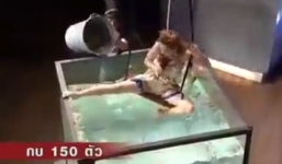 Chết cười với nữ ca sĩ Thái Lan trong thử thách đố ai hát được