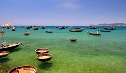 Du xuân khám phá Cù Lao Chàm - Phố Cổ Hội An theo tour