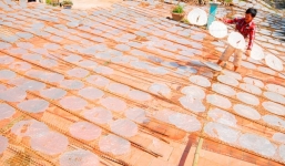 Làng nghề bánh tráng miền Tây tất bật kiếm tiền mùa Tết