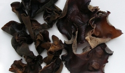 Mộc nhĩ và lợi ích những bất ngờ ít biết