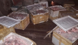 Quảng Nam: Bắt loạt xe chở 3,5 tấn nội tạng, mỡ động vật hôi thối