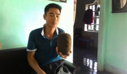 Xôn xao 'quả trứng vàng' trong bụng lợn ở Ba Vì có giá hàng chục tỷ