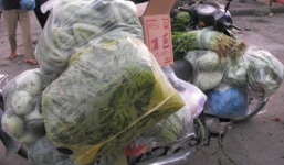 Rau “bẩn” tuồn vào trường học: Sở GD-ĐT Hà Nội đề nghị xử nghiêm