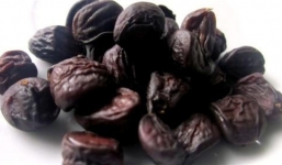 Hạt dổi rừng 4 triệu/kg chỉ đại gia mới dám mua